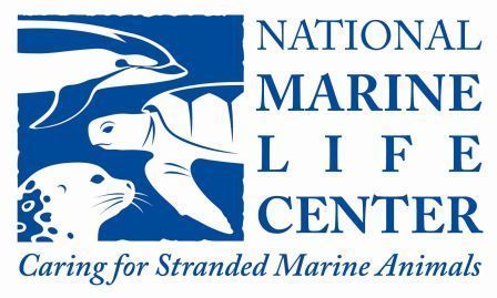 LOGO-small-web.jpg